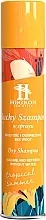 HEGRON Șampon uscat Tropical summer 200 ml